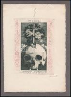 Adolf Kunst (1882-1937): Ex libris Johanna Schneider. Rézkarc, papír, jelzett, 15×11,5 cm