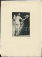 Georg Oskar Erler (1871-1950): Erotikus ex libris Oscar Hillinger. Rézkarc, papír, jeltett, 11,5×7,5 cm