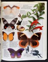 Vegyes könyvtétel, 3 db: 

Paul Whalley: Lepkék és pillangók. Szemtanú. Bp., 1991,Park. Kiadói egé...