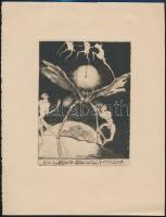 Hermann Bauer (1892-1976): Ex libris Dr. Willy Tropp. Rétkarc, papír, jelzett, 15,5×11 cm