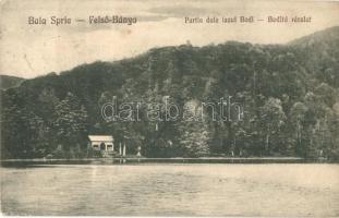 Felsőbánya, Baia Sprie; Bódi-tó / Lacul Pintea / lake (EK)