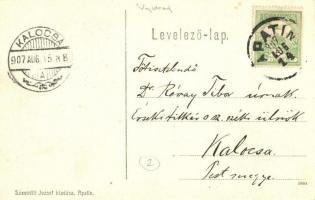 1907 Apatin, Abthausen; Ritter tó, Téglagyárak. Kiadja Szavodill József / Ritter-Teich, Ziegelfabrik...