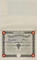 Budapest 1926. Magyar Általános Bank Részvénytársaság névre szóló részvénye 10P-ről, vízjeles papíron, szárazpecséttel, szelvényekkel, bélyegzésekkel T:I-