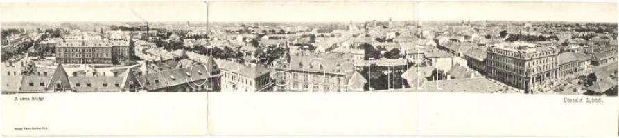 Győr, látkép a zsinagógával. Három-részes panorámalap / 3-tiled panoramacard