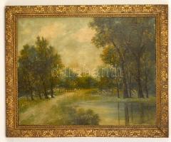 Mednyánszky jelzéssel: Erei út. Olaj, vászon, keretben, 40×50 cm