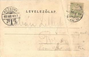 1902 Budapest II. Hűvösvölgy, villamos vasút részlete. Divald Károly 306. sz. (fa)