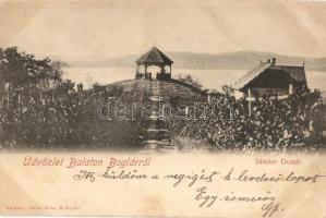 1899 Balatonboglár, Sándor domb, kilátó, szőlőskert. Kiadja Simon Géza (fa)