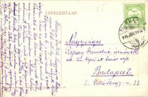 1914 Munkács, Mukacheve, Mukacevo; városi részlet. W.L. Bp. 5663.  / general view (EK)