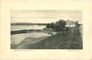 1912 Apostag, Dunapart. W. L. Bp. 5756. Kiadja Bencze Sándor (EK)