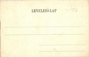 Debrecen, látkép a Debreczeni Helyi Vasút Rt. (DHV) kisvasútjával, városi vasút. Kiadja Pongrácz Géz...