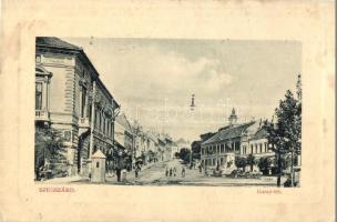 1911 Szekszárd, Garay tér, Pirnitzer József és Fia üzlete, Garay szobor. W. L. Bp. 5049. (EK)