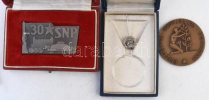 9db-os emlékérem és plakett tétel, közte "15 éves a Munkásőrség" egyoldalas Br plakett T:v...