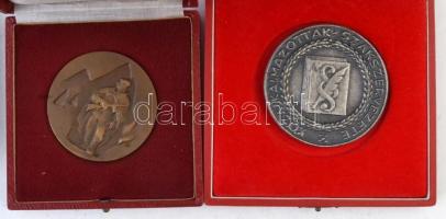 9db-os emlékérem és plakett tétel, közte "15 éves a Munkásőrség" egyoldalas Br plakett T:v...