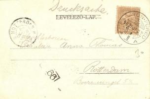 1902 Balatonfüred, Gyógyudvar. Kiadja Kampmann H. (EB)