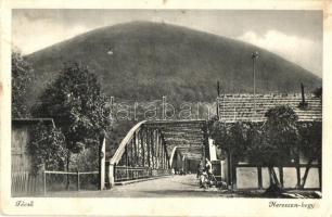 Técső, Tiacevo, Tiachiv; Nereszen-hegy, híd / mountain, bridge