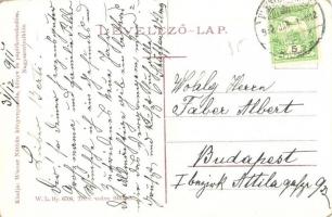 1911 Nagyszentmiklós, Sannicolau Mare; Gróf Nákó Sándor kastélyának park részlete. W.L. Bp. 6708. Ki...