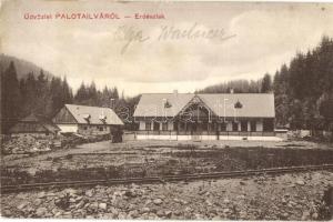 Palotailva, Lunca Bradului; Erdészlak. Kieselstein Mendel kiadása / forestry house