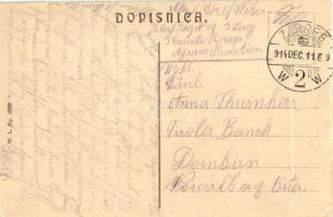 1914 Zagreb, Zágráb; Pogled na Zagreb. W.L. Bp. 1599. (EK)