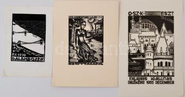Vegyes exlibris tétel, kb. 240-250 db. Különféle nyomótechnikákkal, 13x18 cm és 5x3 cm közötti méret...