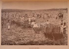 Dr. Gáspár Ferencz: Ausztrália, Csendes óceáni szigetek, Japánország, Khina, Szibiria. A Föld körül....