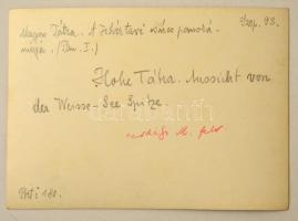 cca 1910 Magas-Tátra, a Fehértavi csúcs panorámája, Erdélyi Mór felvétele, hátulján feliratozva, 11,...