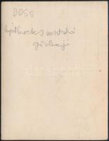 DDSG lapátkerekes vontató gőzhajó, fotó, hátulján feliratozva, 11,5×9 cm