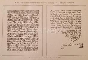 Szávay Gyula: Győr. Monográfia a város jelenkoráról. A történelmi idők érintésével. I. A régi Győr 1...