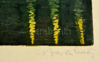 Barta Ernő (1878-1956): Fényárban a Halászbástya. Színes litográfia, papír, jelzett, 22×18 cm