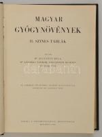 Dr. Augustin Béla-Dr. Jávorka Sándor-Giovannini Rudolf-Dr. Rom Pál: Magyar Gyógynövények. II.  színe...