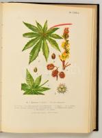 Dr. Augustin Béla-Dr. Jávorka Sándor-Giovannini Rudolf-Dr. Rom Pál: Magyar Gyógynövények. II.  színe...