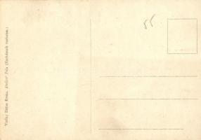 SMS Szent István (?) az Osztrák-Magyar Haditengerészet Tegetthoff-osztályú csatahajója / K.u.K. Krie...