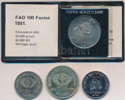 1981. 100Ft Ni "FAO I. - Világélelmezési nap" tokban, tanúsítvánnyal + 1984. 20Ft Cu-Ni &q...