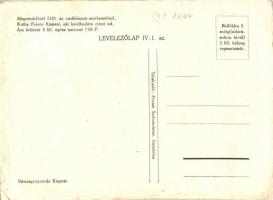 A Magyar Sors - gyűjteményes levelezés. IX. századz második fele. Szerk. Kúthy Ferenc s: K. Nagy Sán...