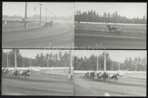 1975 Az ügető derbyn készült 10 db fotó (Api, Almás, Algéria, Absalom), hátoldalon feliratozott fotó...