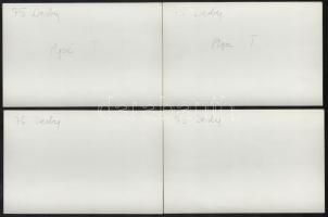 1975 Az ügető derbyn készült 10 db fotó (Api, Almás, Algéria, Absalom), hátoldalon feliratozott fotó...