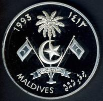 Maldív-szigetek 1993. 250R Ag "Labdarúgó VB" T:PP