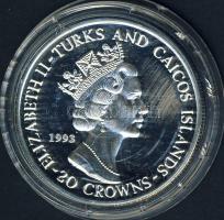 Turks & Caicos 1993. 20C Ag "Labdarúgó VB-USA" T:PP