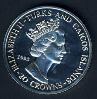 Turks & Caicos 1993. 20C Ag "Labdarúgó VB-Brazília" T:PP