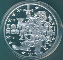 Hollandia 1994. 25Ecu Ag "Julianna-Bernhard" T:PP