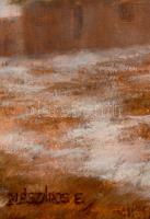 Mészáros Erzsébet (1962-): Napnyugta a tanyán. Olaj, farost, jelzett, keretben, 50×70 cm