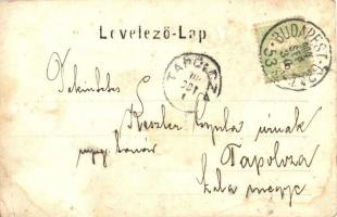 1904 Győrszemere, Szemere; vasútállomás - 2 db régi fotólap / 2 pre-1945 photos of the railway stati...