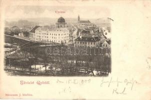 1900 Győr, Újváros, zsinagóga, Tolnay Imre üzlete
