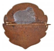 ~1960. "Miskolci Helyiipari Természetbarát Egyesület (HTE)" zománcozott fém jelvény (23mm)...