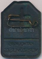 ~1930. "Katholikus Népszövetség" Cu lemezjelvény (24x35mm) T:2 patina