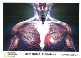 6 db MODERN használatlan National Geographic motivíumlap / 6 modern unused National Geographic motiv...