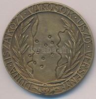 1938. "Duna Tiszaközi Városok Úszóversenye" Br díjérem, előlapon gravírozva "1938 III...