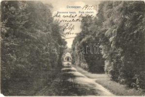 1911 Demecser, Borzsova tanya, park. Malachovsky fényképész (EK)