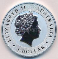 Ausztrália 2016. 1$ "II. Erzsébet / Ausztrál Kenguru" (1oz/0.999) T:BU
Australia 2016. 1 ...