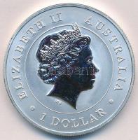 Ausztrália 2015. 1$ Ag "II. Erzsébet / Ausztrál tölcsérhálós pók" (1oz/0.999) T:BU Austral...