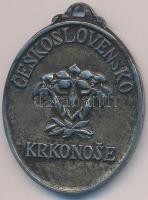 Csehszlovákia DN "Krakonos / Ceskoslovensko - Krkonose" kétoldalas ezüstözött Br medál fül...